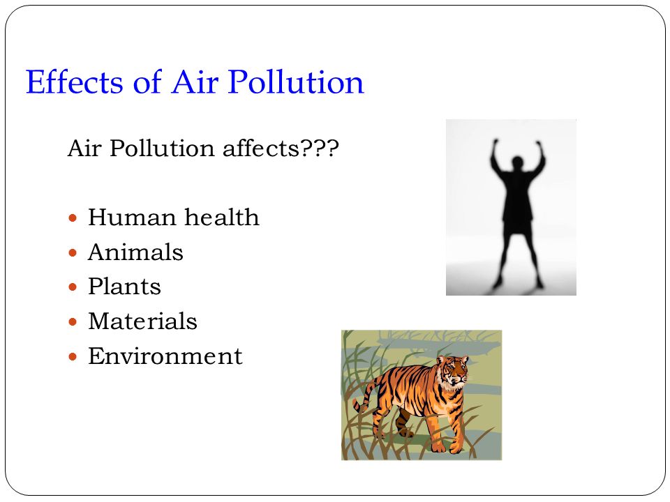 Essay on the Effects of Air Pollution on Human Health